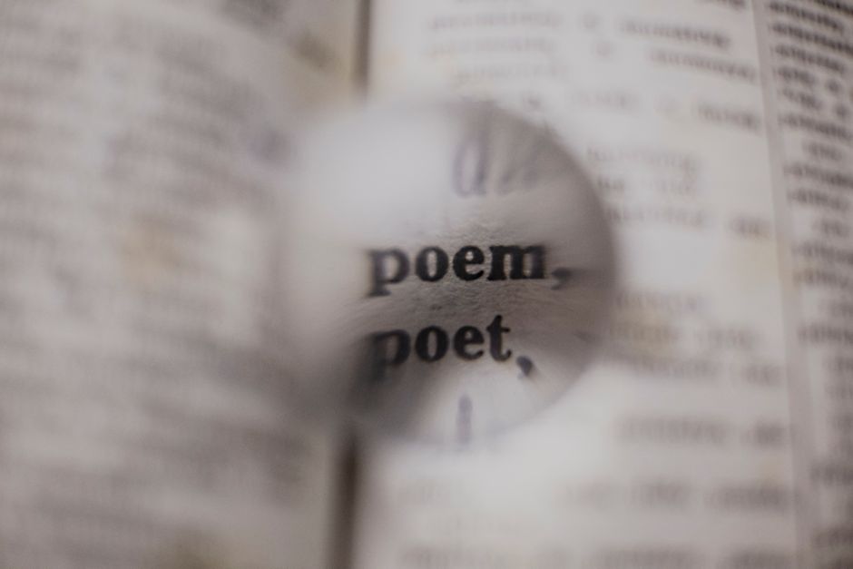 Claude Sonnet vs Opus: cuál elegir según tu tarea