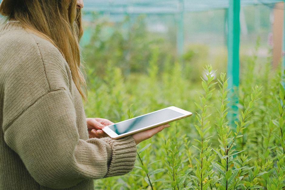 IA en agricultura: cómo productores optimizan cosechas en 2026